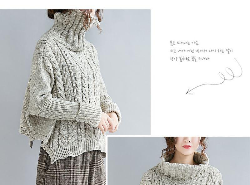 Long Sleeve Turtleneck Cable Knit Sweater Product Image