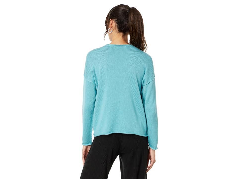 Womens Crewneck Cotton-Blend Pullover Sweater Product Image