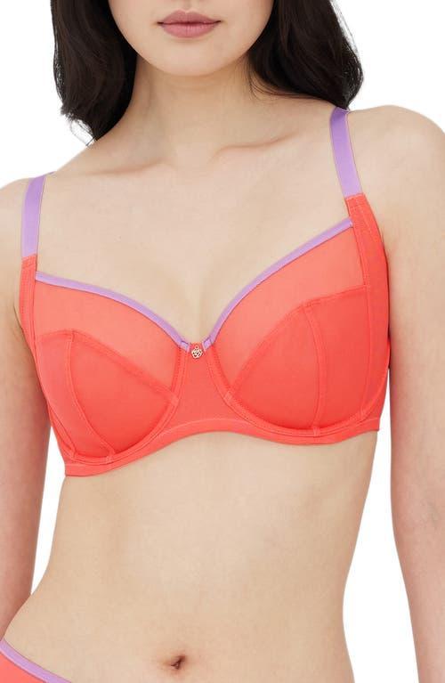 Skarlett Blue Womens Spellbound Full Coverage Underwire Bra - Light Product Image