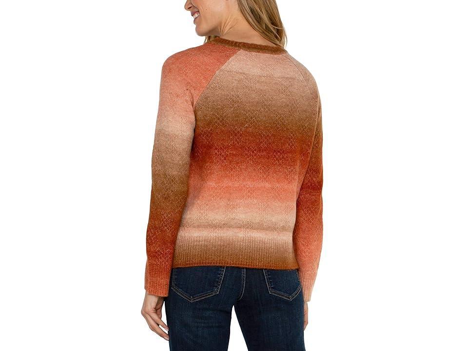 Liverpool Los Angeles Long Sleeve Raglan Sweater With Side Slit Ombre Sweater Yarn Ombre) Women's Sweater Product Image