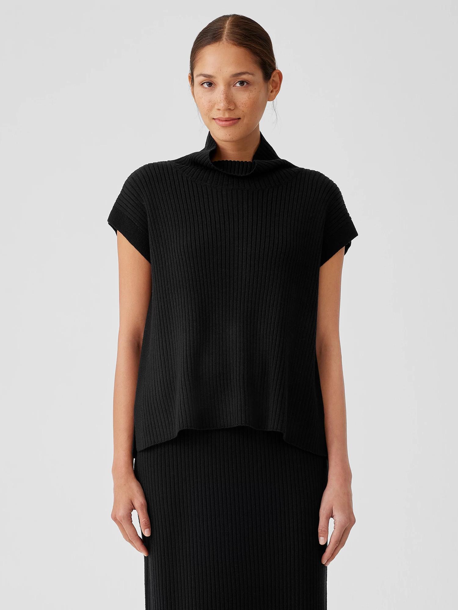 EILEEN FISHER Merino Turtleneck Top in Regenerative Woolfemale Product Image