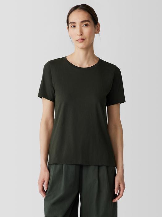 Organic Pima Cotton Jersey Round Neck Tee Product Image