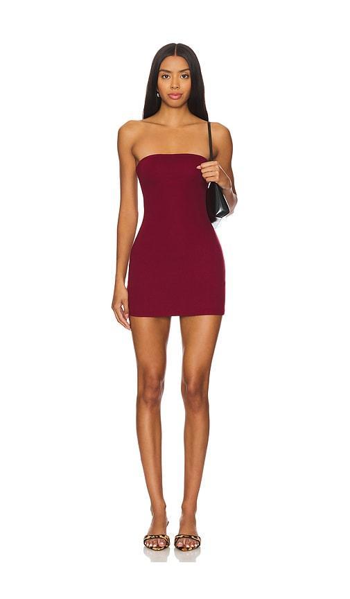 Lovers and Friends Drew Mini Dress in Oxblood Product Image