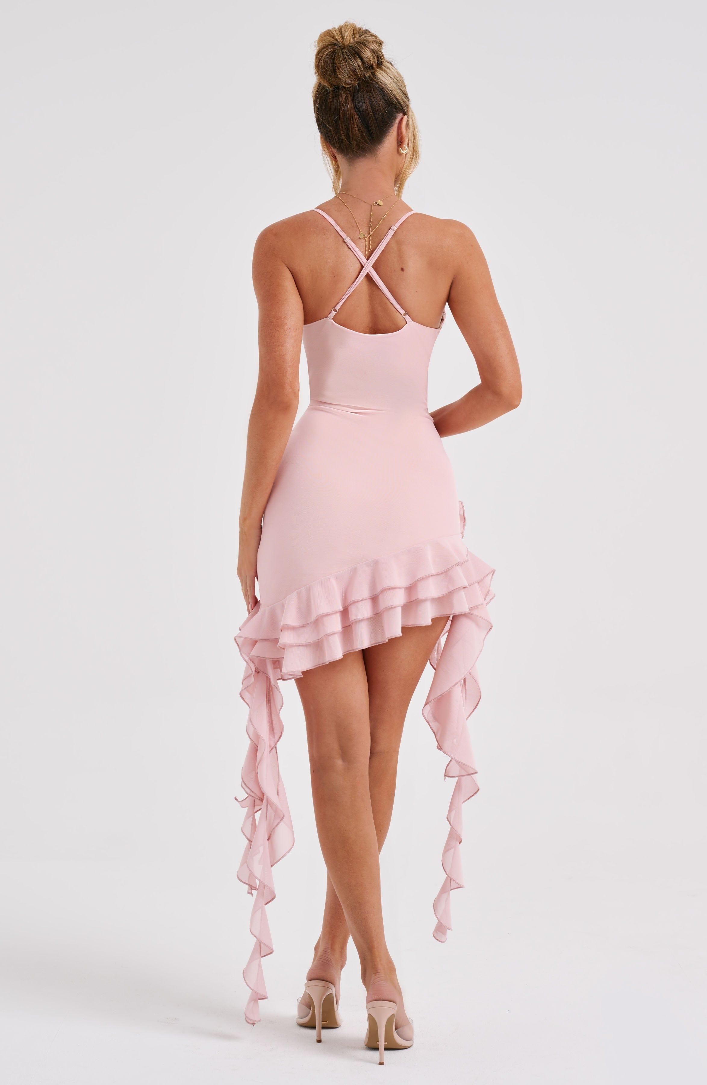 Lilabelle Mini Dress - Blush Product Image