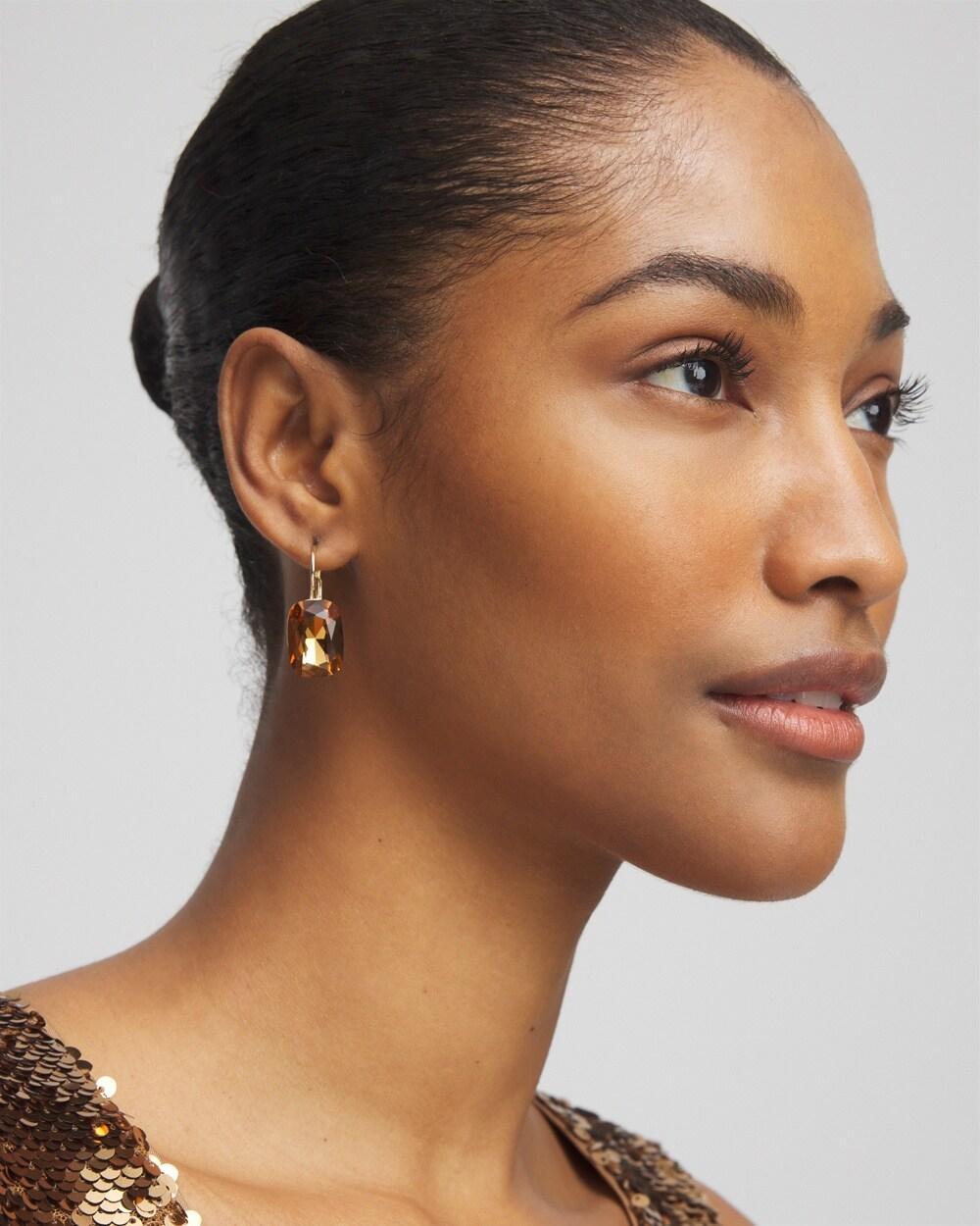 No Droop™ Gold Tone Stone Earrings Product Image