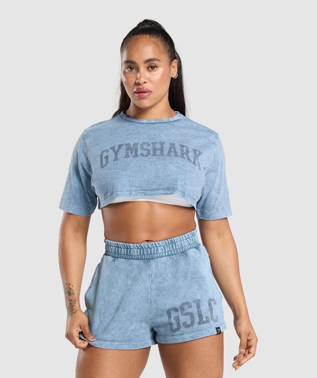 Collegiate Shadow Washed Crop Top Product Image