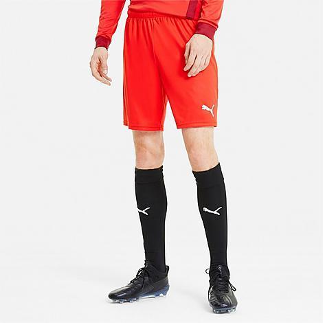 Puma Mens teamGOAL 23 Knit Shorts Product Image