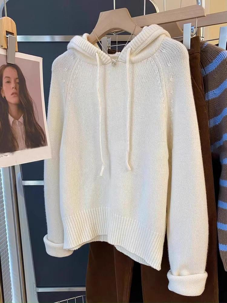 Plain Hood Sweater Product Image