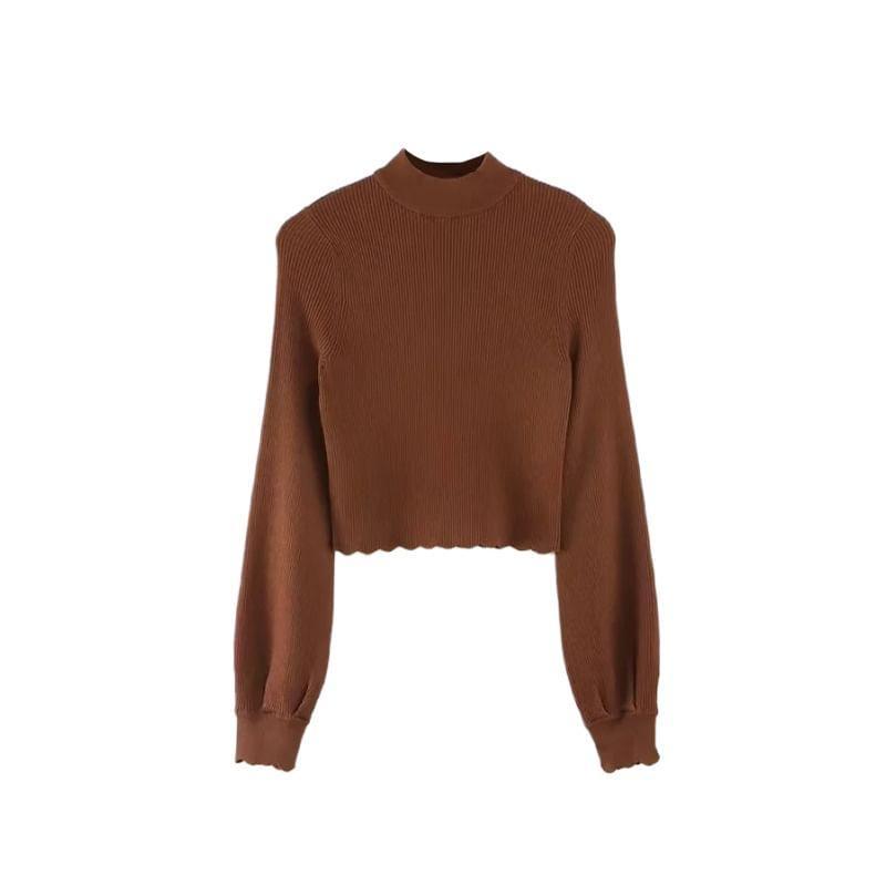 Mock Neck Plain Ribbed Crop Sweater Product Image