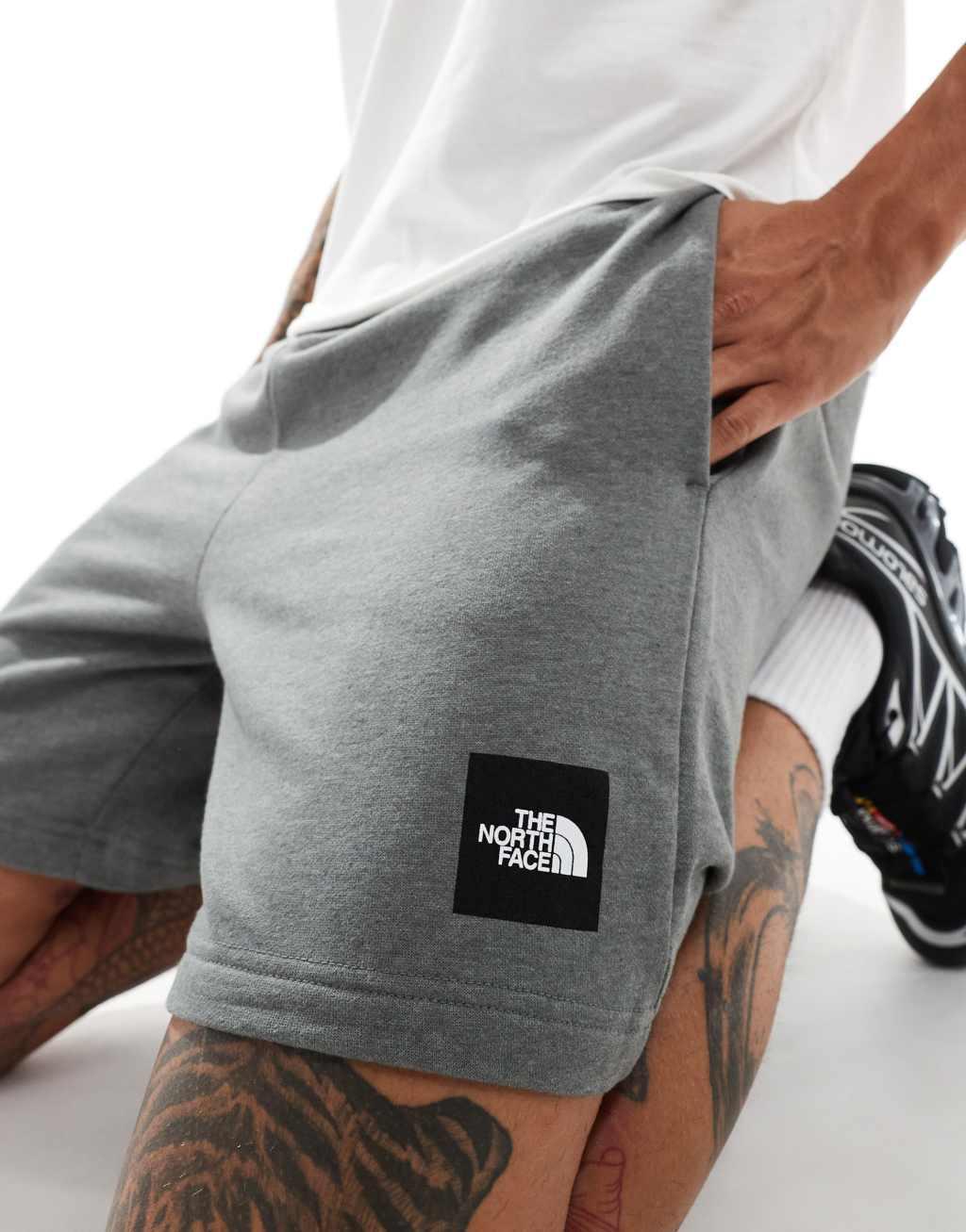 The North Face NSE Box shorts in gray Product Image