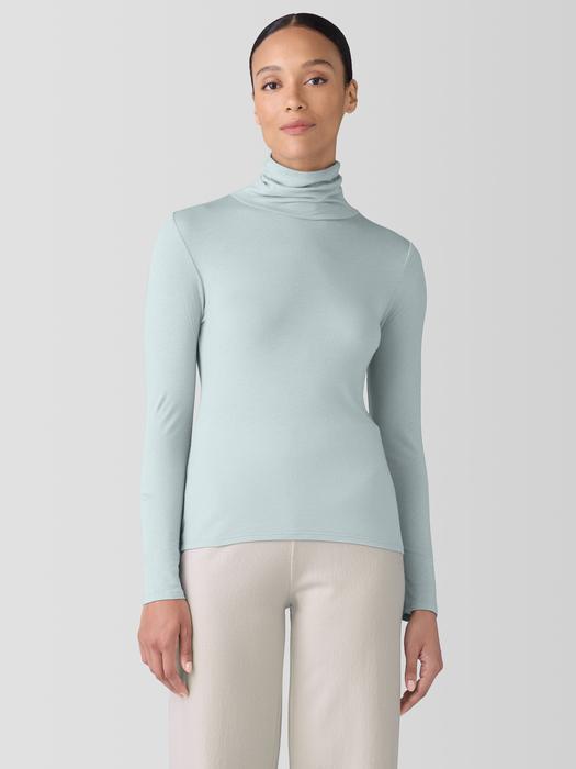 Sheer Knit Turtleneck Top product image