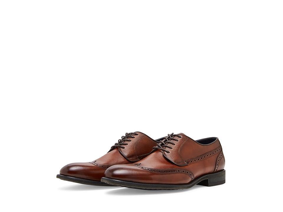 Steve Madden Aamari Men's Lace Up Wing Tip Shoes Product Image