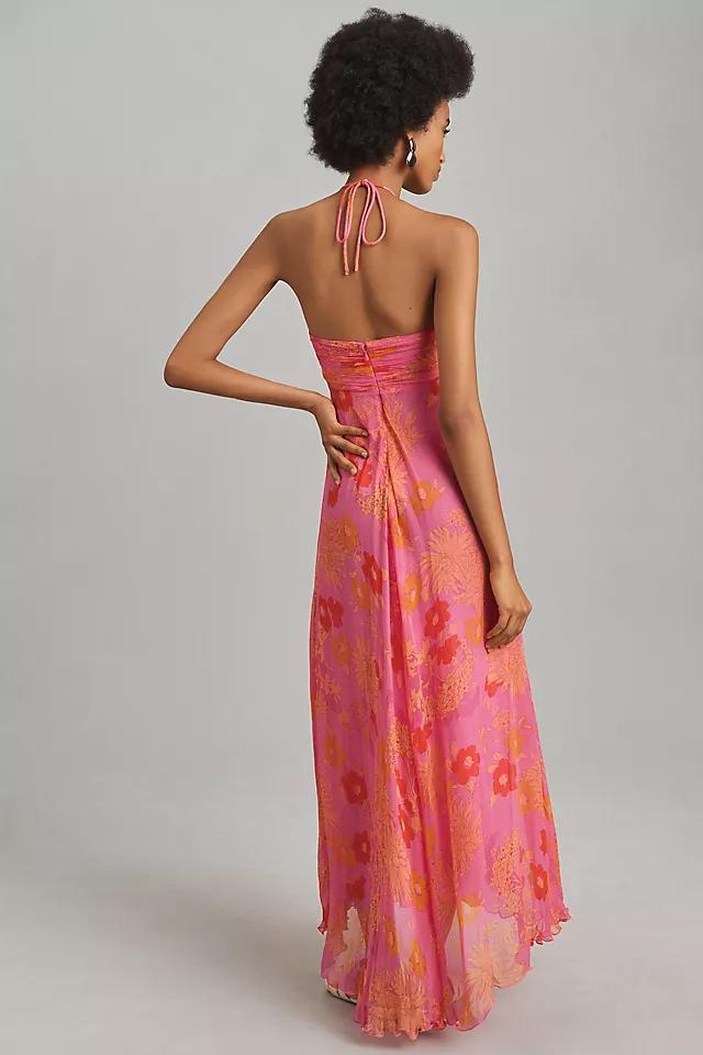 RIXO Samira Halter Maxi Dress Product Image