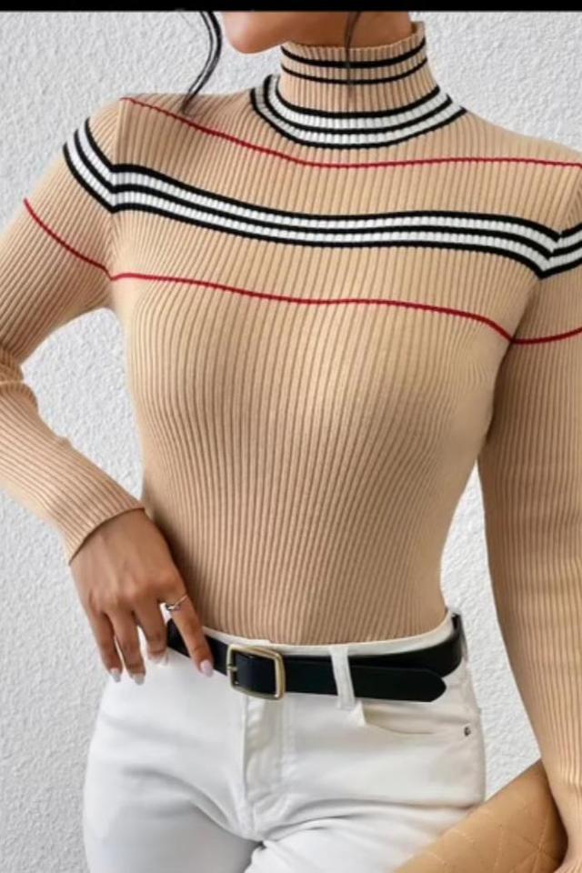 Striped Turtleneck Product Image