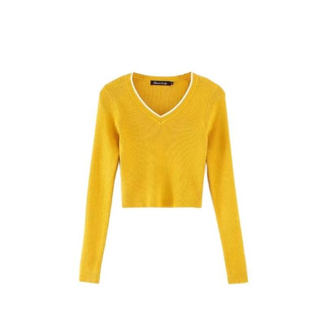 V-Neck Contrast Trim Crop Sweater Product Image