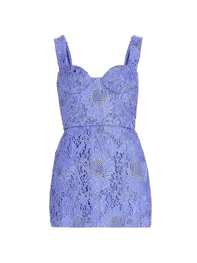 Womens Bruna Embroidered Lace Minidress Product Image