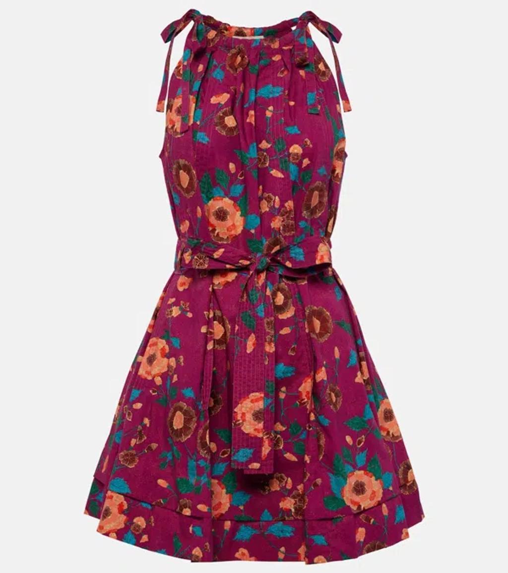 Brienne Floral Cotton Minidress In Wine product image