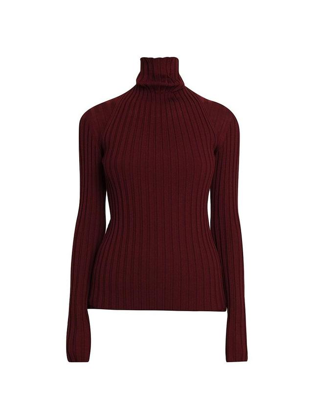 Womens Rib-Knit Wool Turtleneck Sweater Product Image