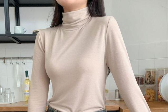 Long-Sleeve Turtleneck Plain Slim-Fit Top Product Image