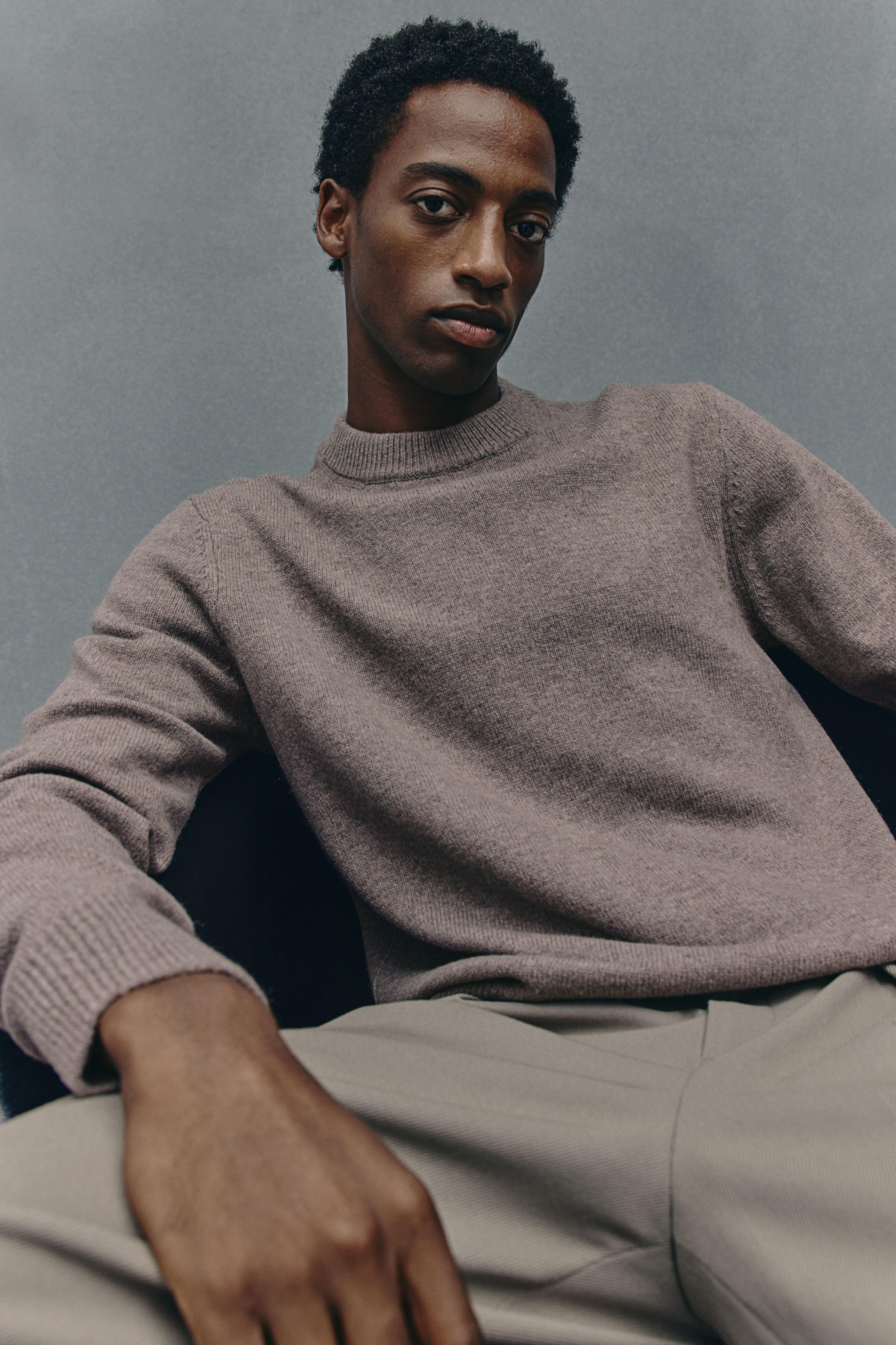 Regular Fit Wool Sweater Product Image