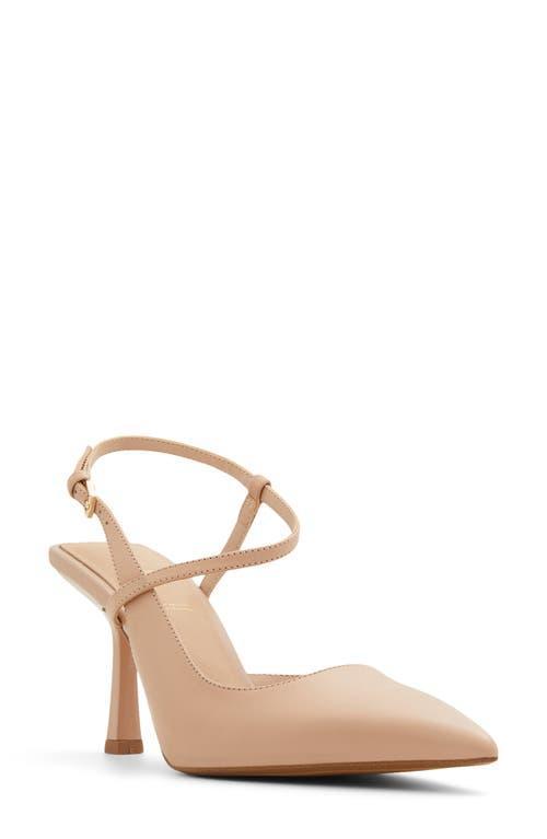 ALDO Brunette Pointed Toe Pump Product Image