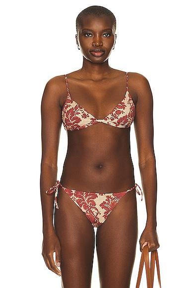 Posse Kai Bikini Top in Rust Product Image