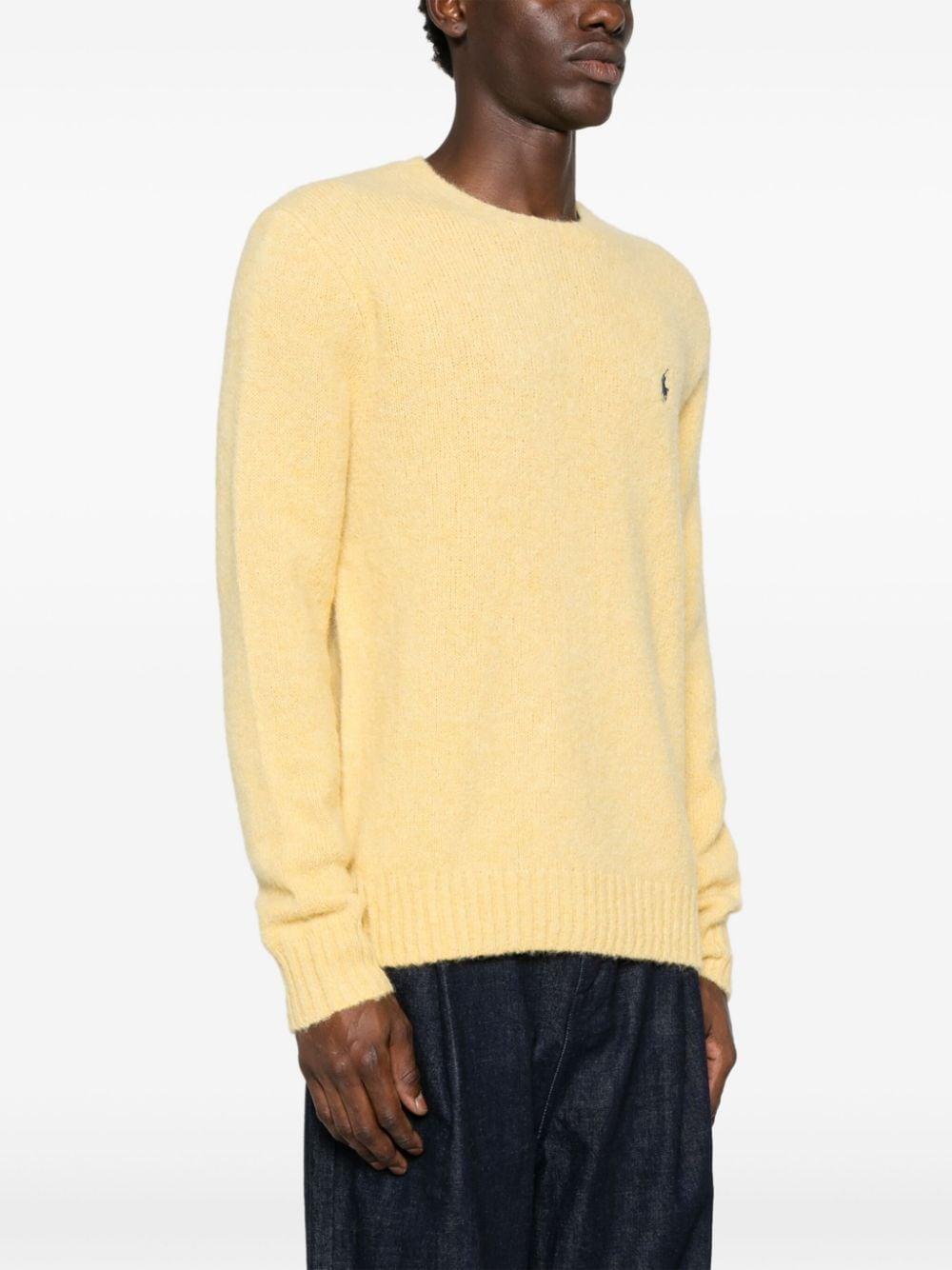 Polo Pony-embroidered Sweater In Yellow Product Image