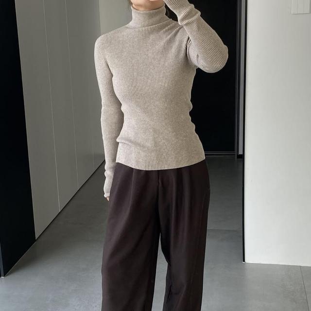 Long Sleeve Turtleneck Plain Ribbed Knit Top Product Image