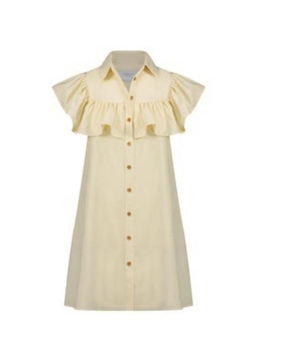 The Shirt -Ayla Dress Product Image