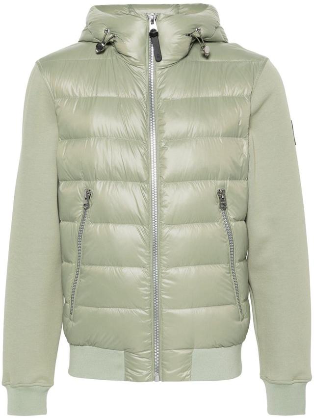 Frank Padded Bomber Jacket In Green Product Image