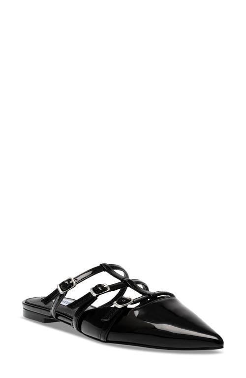 Steve Madden Womens Shatter Pointed Toe Triple Buckle Flats Product Image