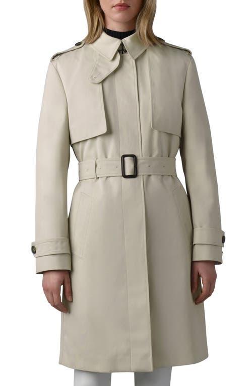 Womens Winn Trench Coat Product Image