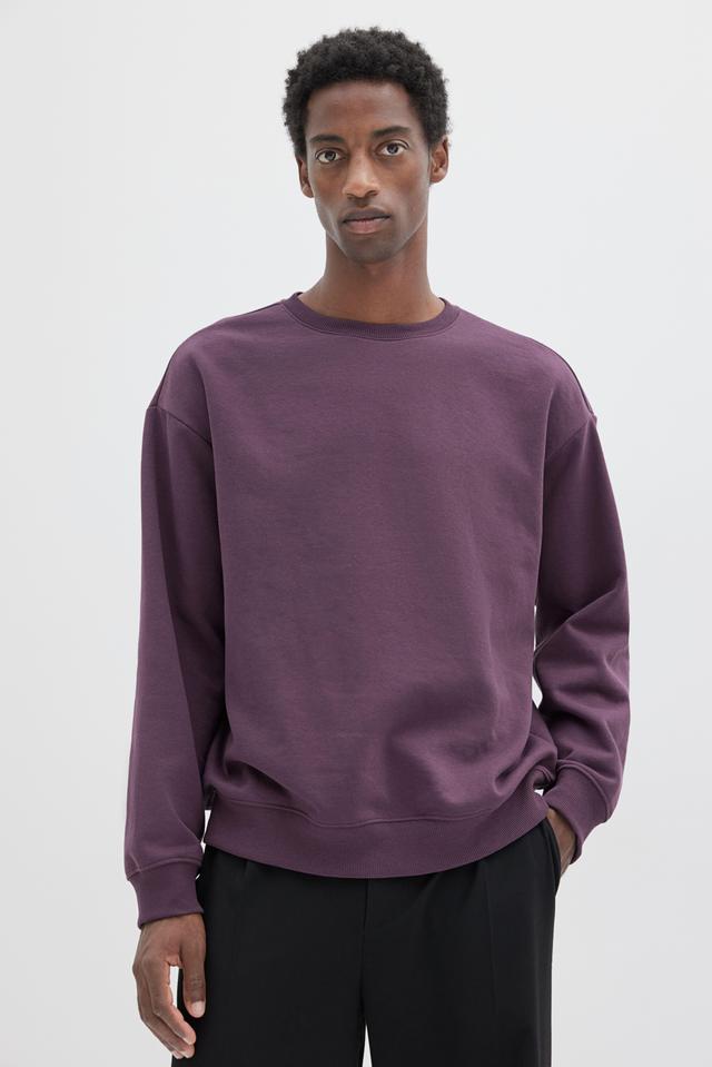 Loose Fit Sweatshirt Product Image