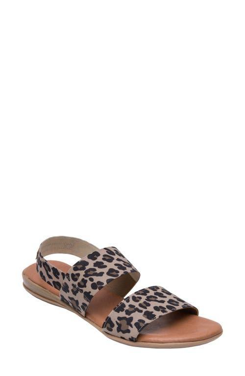 Andr Assous Nigella Sandal Product Image