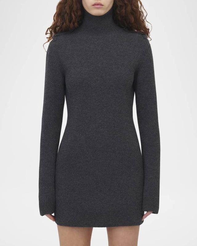 Turtleneck Wool Cashmere Mini Dress Product Image