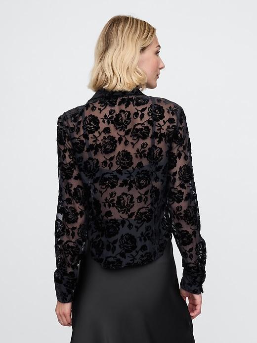 Cropped Velvet Shirt Product Image