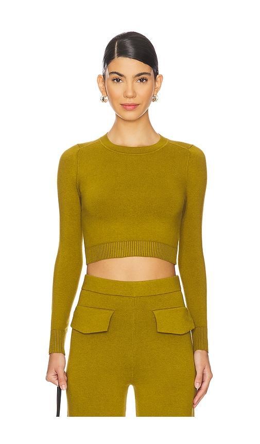 Long Sleeve Crop Top Product Image