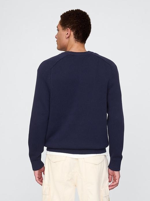 Raglan Crewneck Sweater Product Image