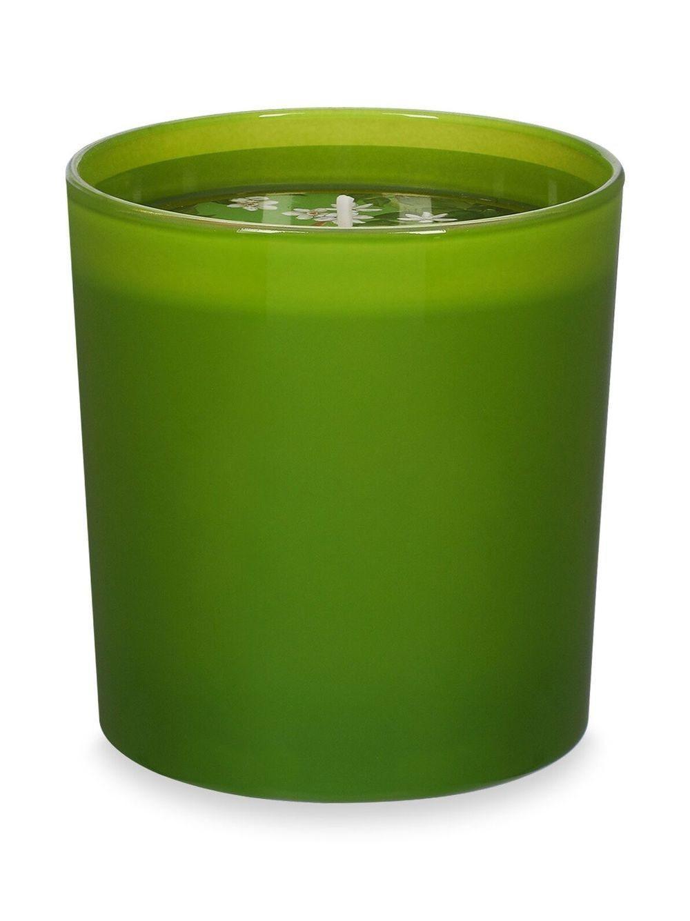 DOLCE & GABBANA Sicilian Orange Floral-print Candle (250g) In Green Product Image