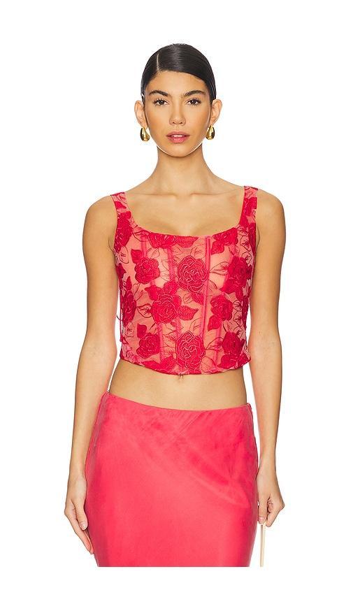 Embroidered Roses Bustier Top Product Image