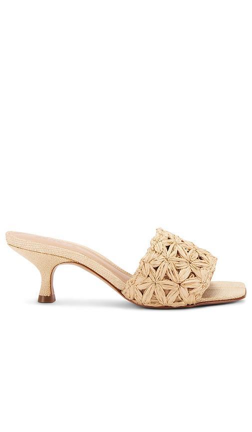 Dethalia Straw Sandal Product Image