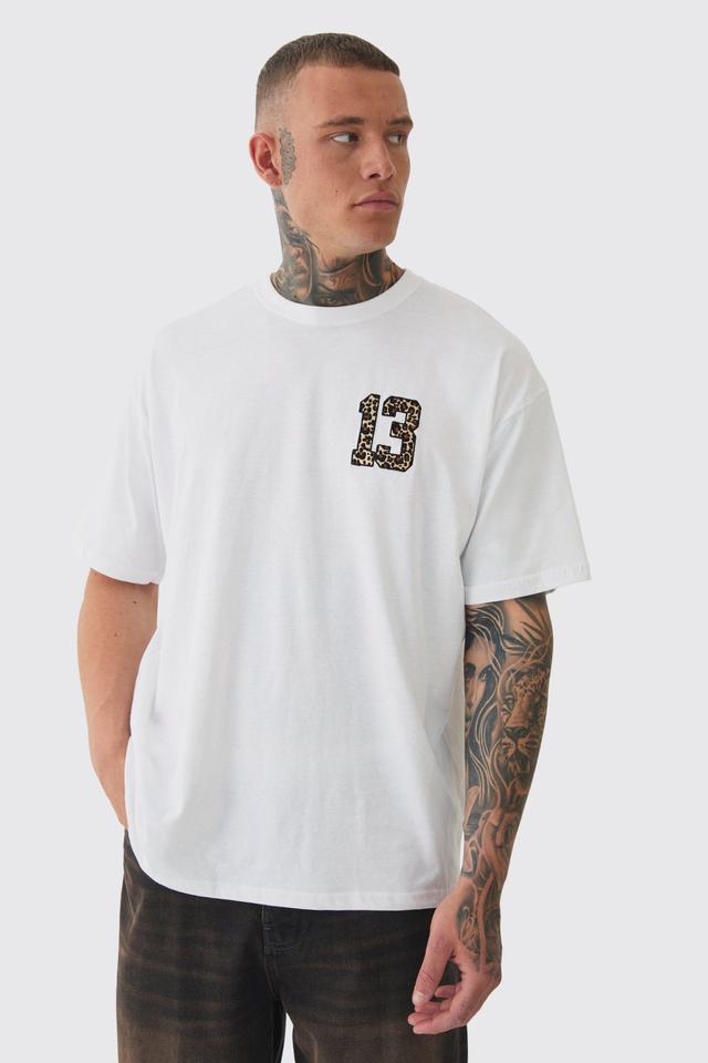 Tall 13 Leopard Embroidered T-shirt In White | boohooMAN USA Product Image