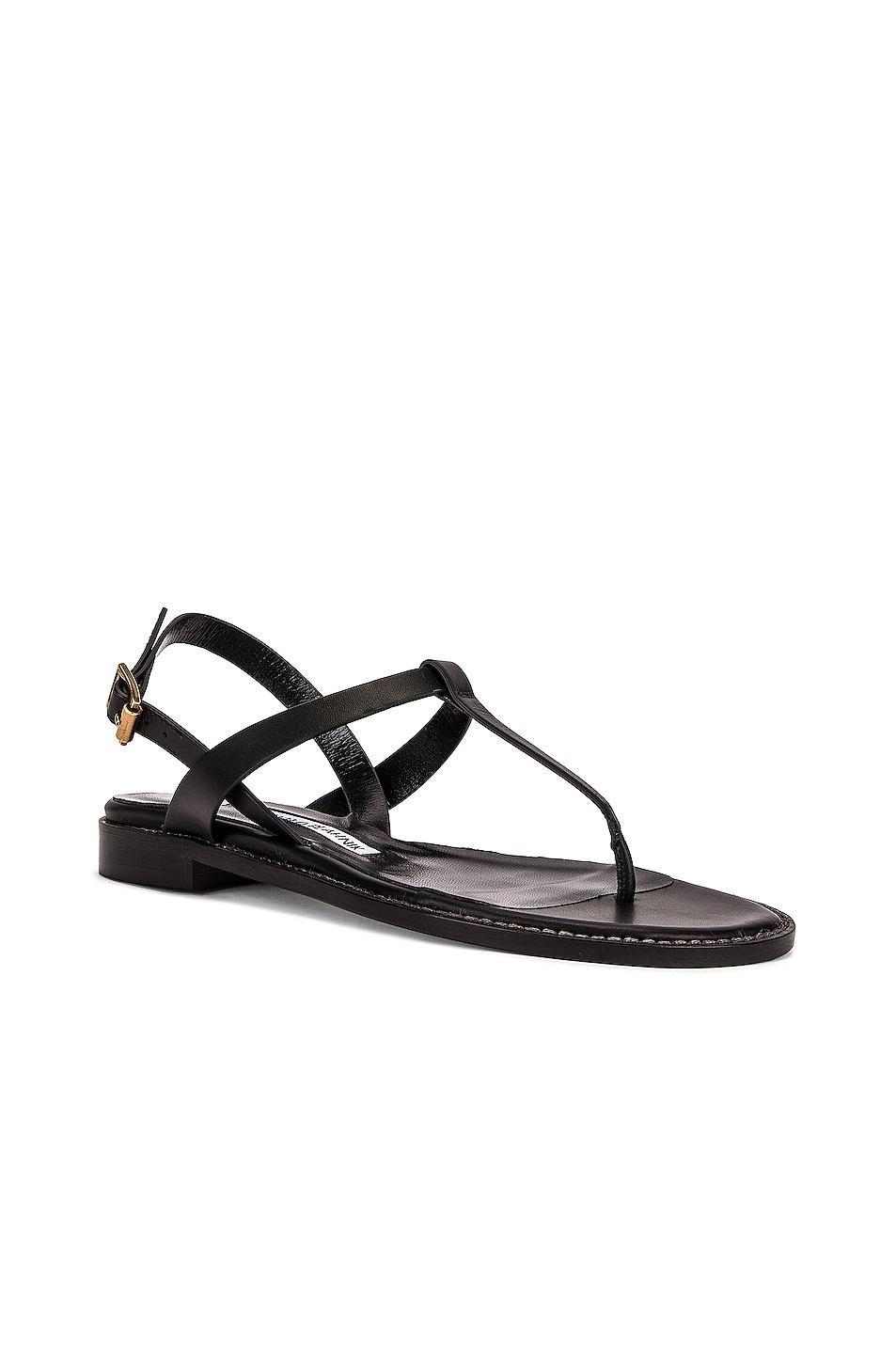 Manolo Blahnik Hata Leather Sandal in Navy Product Image