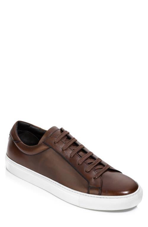 To Boot New York Sierra (Panama/Tek Black Men's Shoes Product Image