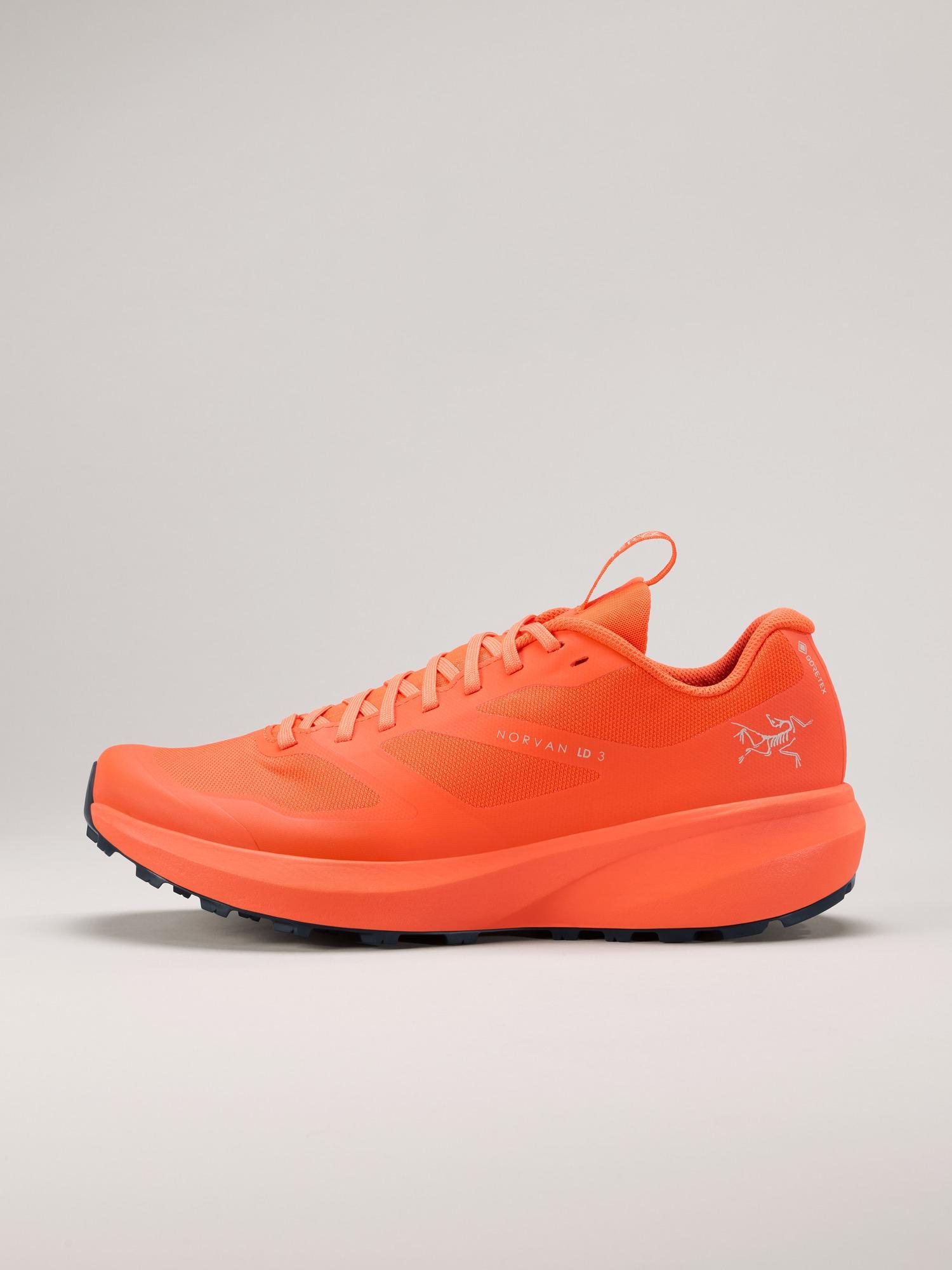 Norvan LD 3 GTX Shoe Men's Product Image