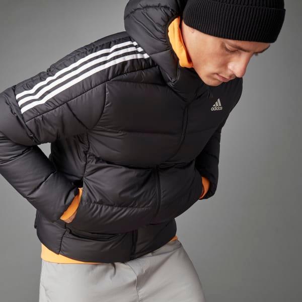 Essentials Midweight Down Hooded Jacket Product Image