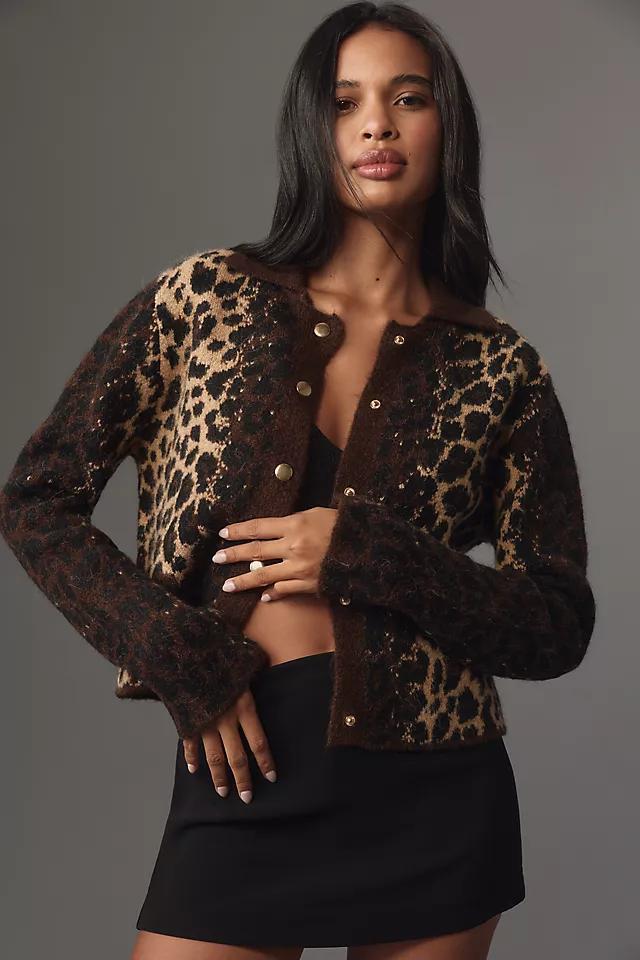 Pilcro Cheetah Cardigan Sweater Product Image