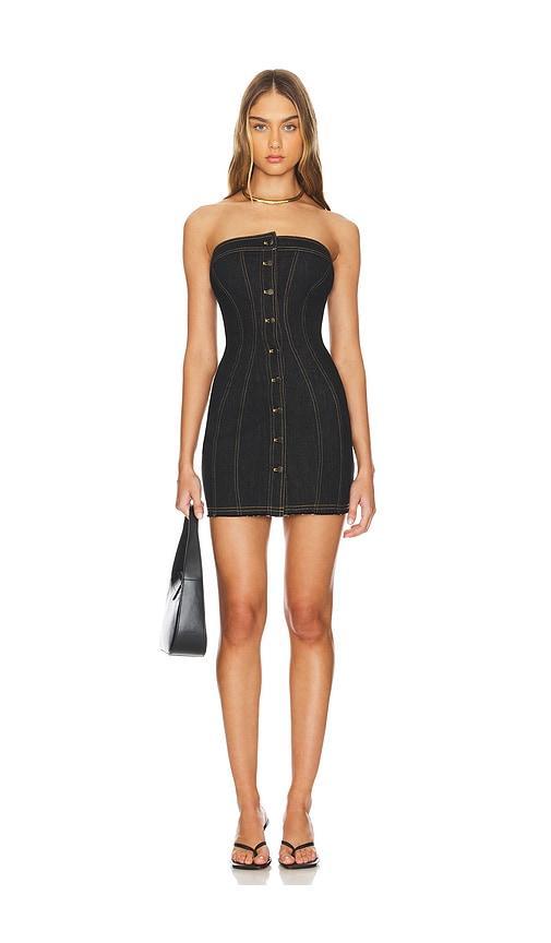 Dana Mini Dress Product Image