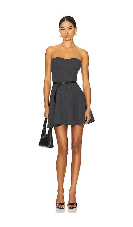 Strapless Grace Mini Dress Product Image