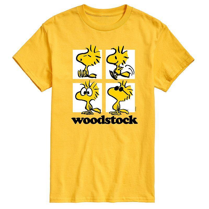 Mens Peanuts Woodstock Grid Graphic Tee Product Image